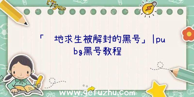 「绝地求生被解封的黑号」|pubg黑号教程